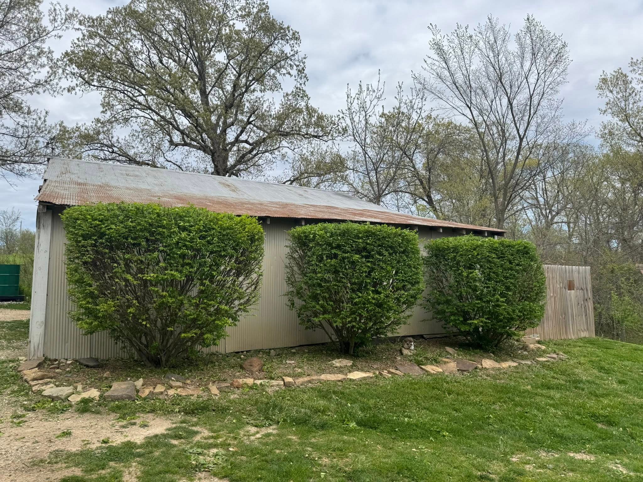 Expert Hedge Trimming